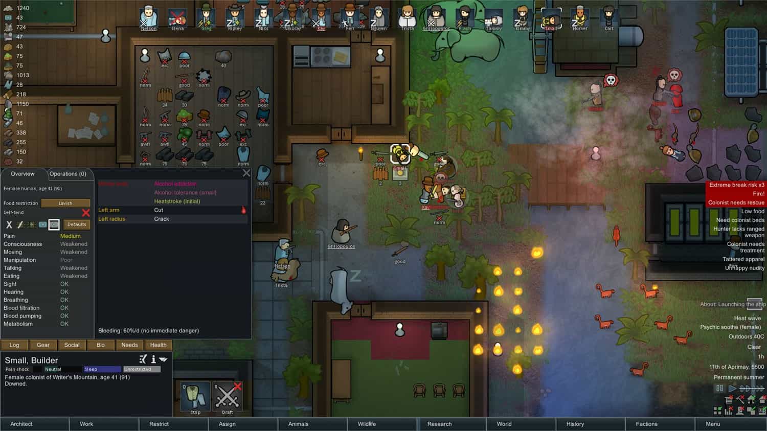 图片[2]-环世界|边缘世界/RimWorld  v1.6.4528   免安装中文版-梨子乐游戏