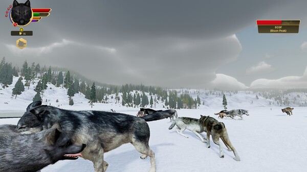 图片[4]-野狼谜踪：周年纪念版 v2.0.2（WolfQuest Anniversary Edition）免安装英文版-梨子乐游戏