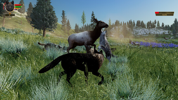 图片[6]-野狼谜踪：周年纪念版 v2.0.2（WolfQuest Anniversary Edition）免安装英文版-梨子乐游戏