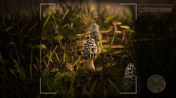 图片[2]-羊肚菌：狩猎 Build.15781103（Morels The Hunt）免安装中文版-梨子乐游戏