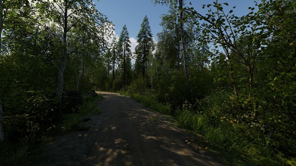 图片[4]-芬兰小屋模拟器 Build.18334262（Finnish Cottage Simulator）免安装中文版-梨子乐游戏