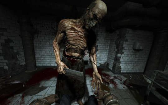 图片[3]-​逃生1+2 PC/手机双端（Outlast）免安装中文版-梨子乐游戏