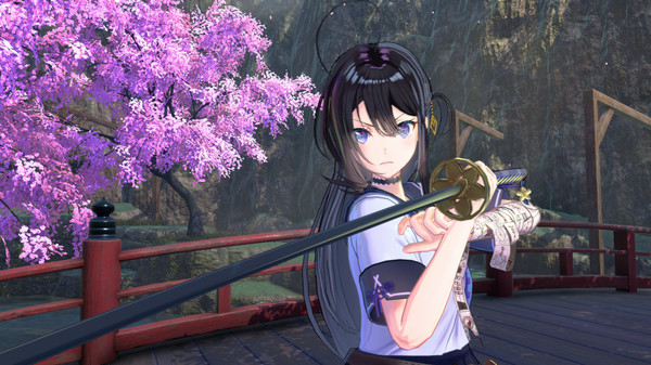 图片[2]-武士少女 v1.60 全DLC PC/手机双端（SAMURAI MAIDEN）免安装中文版-梨子乐游戏