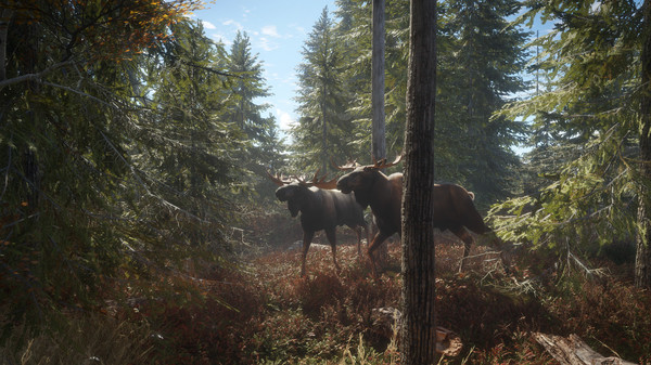 图片[2]-猎人 荒野的召唤 Build.17534747 全DLC 赠满财富技能小屋位置存档（theHunter: Call of the Wild）免安装中文版-梨子乐游戏