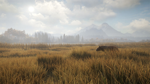 图片[3]-猎人 荒野的召唤 Build.17534747 全DLC 赠满财富技能小屋位置存档（theHunter: Call of the Wild）免安装中文版-梨子乐游戏