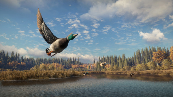 图片[5]-猎人 荒野的召唤 Build.17534747 全DLC 赠满财富技能小屋位置存档（theHunter: Call of the Wild）免安装中文版-梨子乐游戏