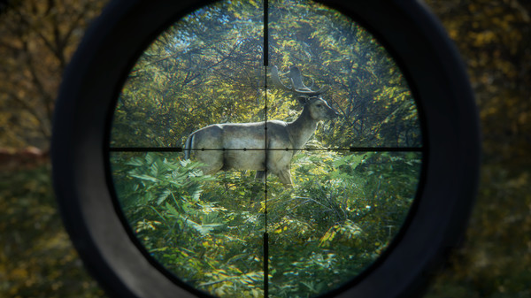 图片[4]-猎人 荒野的召唤 Build.17534747 全DLC 赠满财富技能小屋位置存档（theHunter: Call of the Wild）免安装中文版-梨子乐游戏