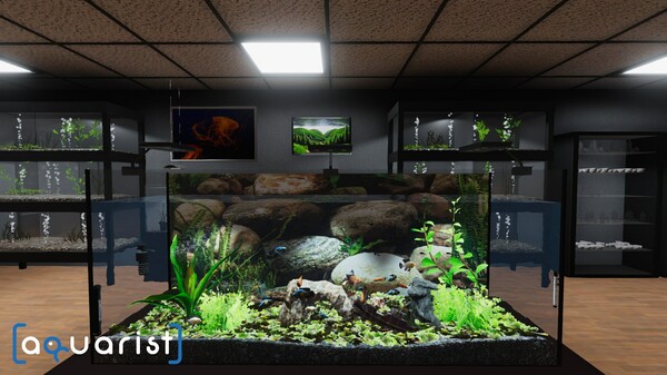 图片[2]-水族馆模拟器 建造水族馆，繁殖鱼类，拓展你的业务! v20250325 全DLC（Aquarist）免安装中文版-梨子乐游戏