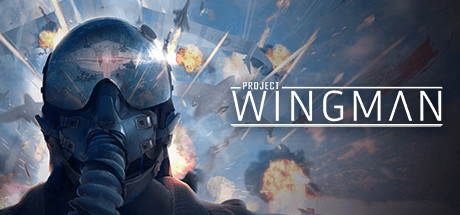 僚机计划 v2.1.1A（Project Wingman）免安装中文版-GM999资源网