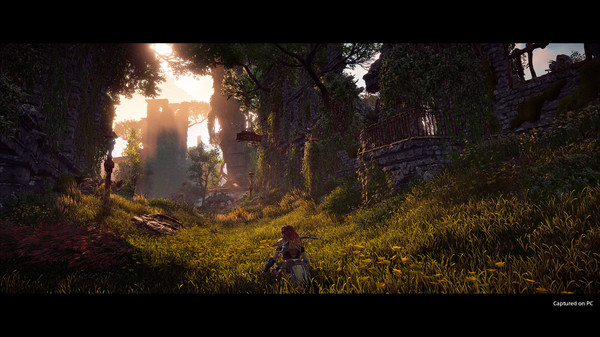 图片[6]-地平线 零之曙光 v1.0.11.14（Horizon Zero Dawn）免安装中文版-梨子乐游戏