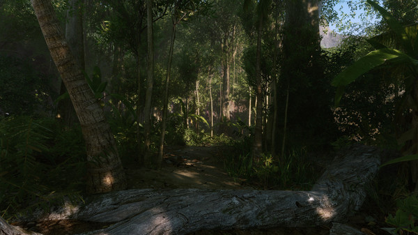 图片[5]-孤岛危机：重制版 v20220208 送修改器（Crysis Remastered）免安装中文版-梨子乐游戏