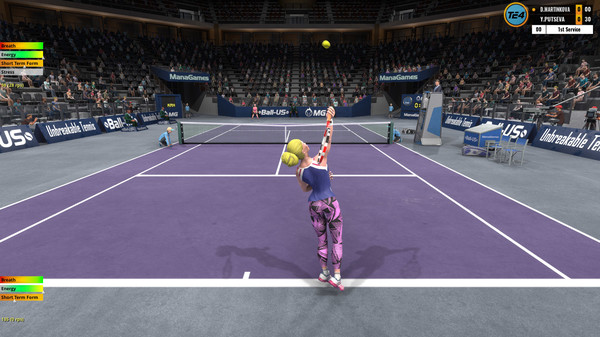 图片[4]-网球精英4 Build.17586247（Tennis Elbow 4）免安装中文版-梨子乐游戏