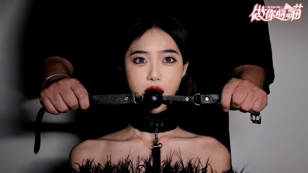 图片[4]-做你的猫 v202409016 免安装中文版-梨子乐游戏