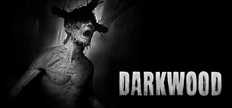 阴暗森林 v1.4.2（darkwood）免安装中文版-GM999资源网