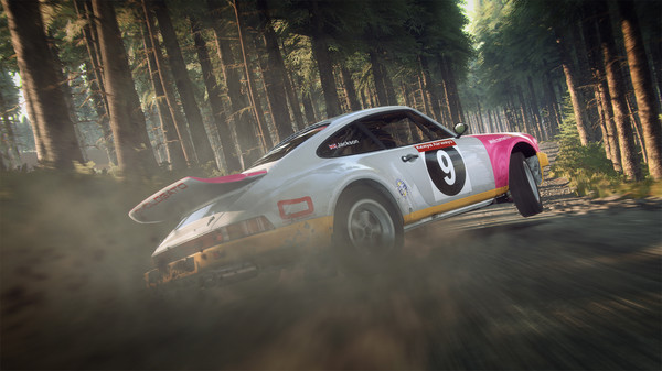 图片[3]-尘埃拉力赛2.0 v1.17.0（DiRT Rally 2.0）免安装中文版-梨子乐游戏
