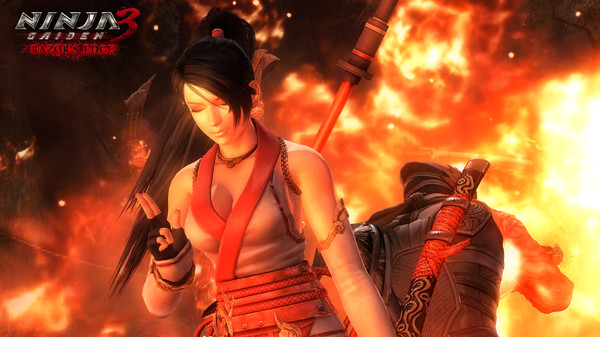 图片[4]-忍者龙剑传：大师合集 包含忍龙123部 送修改器（NINJA GAIDEN: Master Collection）免安装中文版-梨子乐游戏