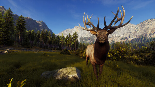图片[2]-狩猎之道 猎人之路 v1.27 全DLC（Way of the Hunter）免安装中文版-梨子乐游戏