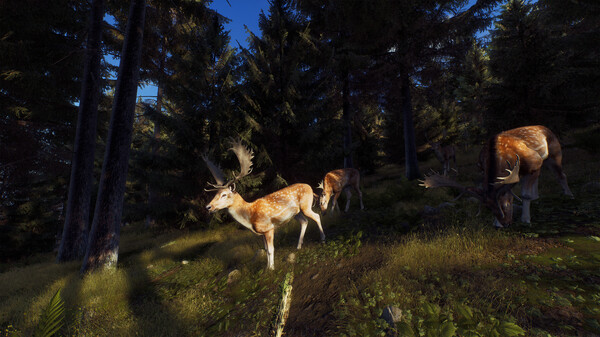 图片[3]-狩猎之道 猎人之路 v1.27 全DLC（Way of the Hunter）免安装中文版-梨子乐游戏