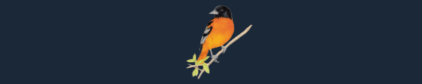图片[4]-展翅翱翔/Wingspan   v1.7.262   免安装中文版-梨子乐游戏