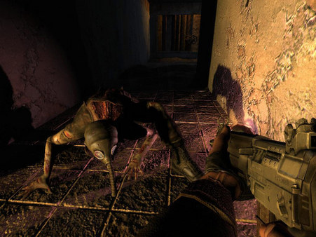 图片[6]-潜行者：切尔诺贝利的阴影 高清重置版（S.T.A.L.K.E.R.: Shadow of Chernobyl）免安装中文版-梨子乐游戏