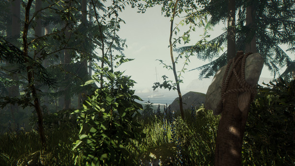 图片[5]-森林 v4175072（The Forest）免安装中文版-梨子乐游戏