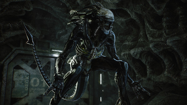图片[6]-异形：火力精英 v1.0.5.114925 单机+联机 全DLC（Aliens: Fireteam Elite）免安装中文版-梨子乐游戏