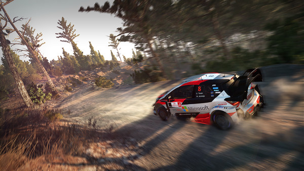 图片[4]-世界汽车拉力锦标赛8 v5589630 附9代+10代（WRC 8 FIA World Rally Championship）免安装中文版-梨子乐游戏