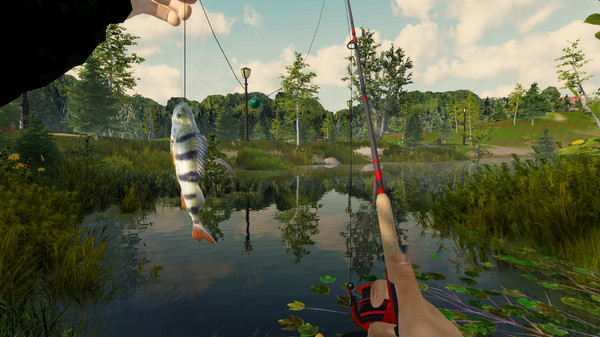 图片[4]-钓鱼大冒险 全DLC（Fishing Adventure）免安装中文版-梨子乐游戏