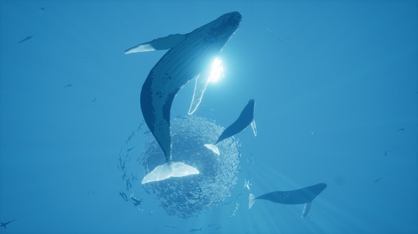 图片[3]-智慧之海 海洋探索 深海探险（ABZU）免安装中文版-梨子乐游戏