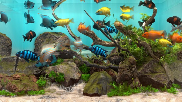 图片[2]-玻璃背后：水族馆模拟器 v1.1（Behind Glass: Aquarium Simulator）免安装中文版-梨子乐游戏