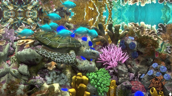 图片[3]-玻璃背后：水族馆模拟器 v1.1（Behind Glass: Aquarium Simulator）免安装中文版-梨子乐游戏
