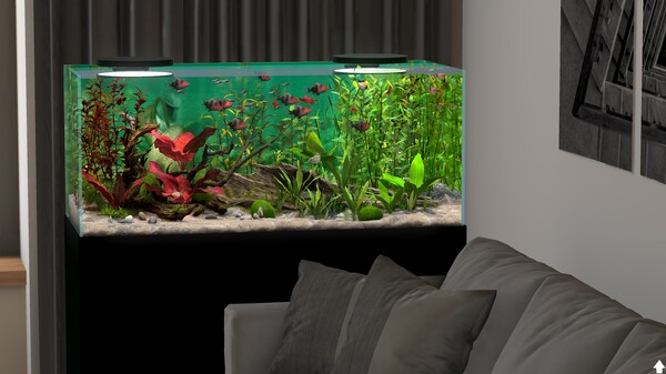 图片[4]-玻璃背后：水族馆模拟器 v1.1（Behind Glass: Aquarium Simulator）免安装中文版-梨子乐游戏