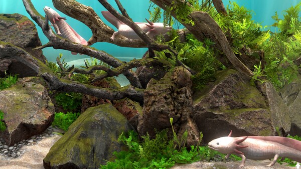 图片[5]-玻璃背后：水族馆模拟器 v1.1（Behind Glass: Aquarium Simulator）免安装中文版-梨子乐游戏