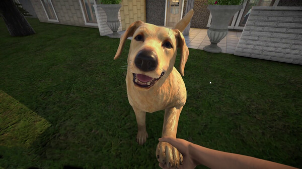 图片[2]-宠物旅馆（Pets Hotel）免安装中文版-梨子乐游戏
