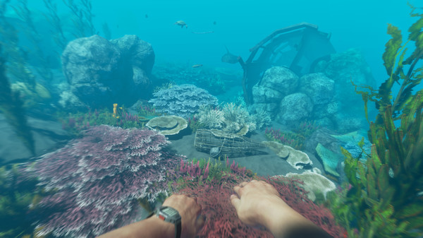 图片[4]-荒岛求生 v1.0.6（Stranded Deep）免安装中文版-梨子乐游戏