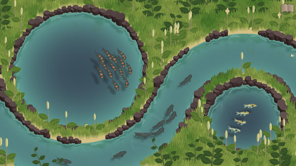 图片[4]-锦鲤养殖场 Build.18058366（Koi Farm）免安装中文版-梨子乐游戏