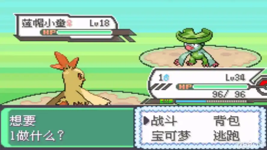 图片[2]-手机+PC端-《口袋妖怪：究极绿宝石》v5.5 原版+金手指版 免安装中文版-梨子乐游戏