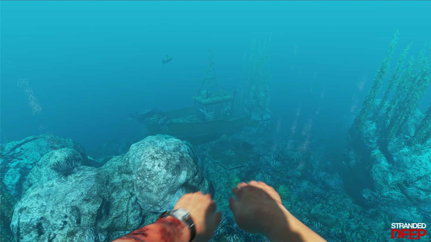 荒岛求生/Stranded Deep-GM999资源网