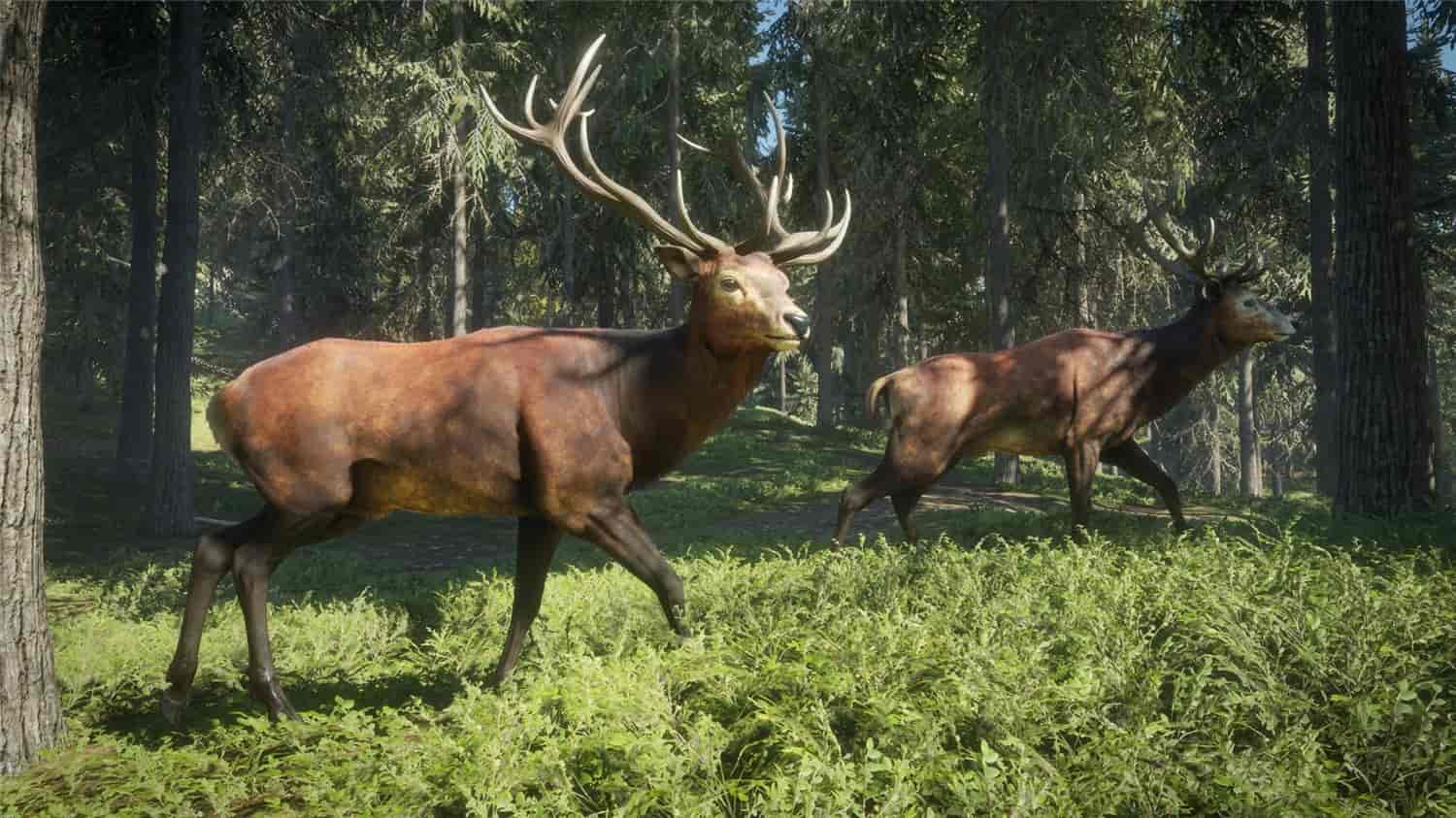 图片[7]-猎人：荒野的召唤/theHunter: Call of the Wild-梨子乐游戏