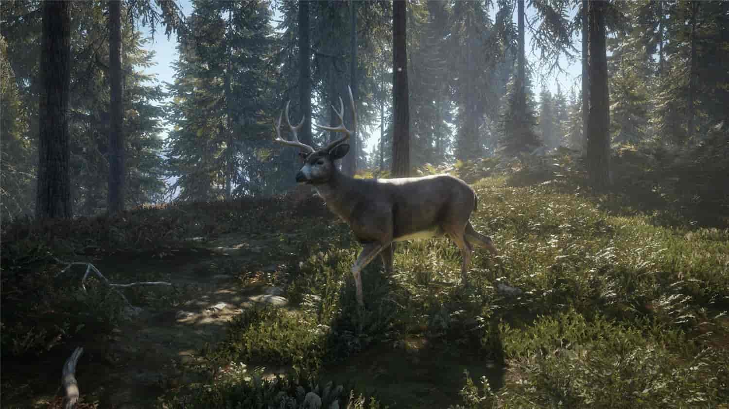 图片[10]-猎人：荒野的召唤/theHunter: Call of the Wild-梨子乐游戏