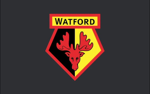 图片[5]-足球经理2021/Football Manager 2021-梨子乐游戏