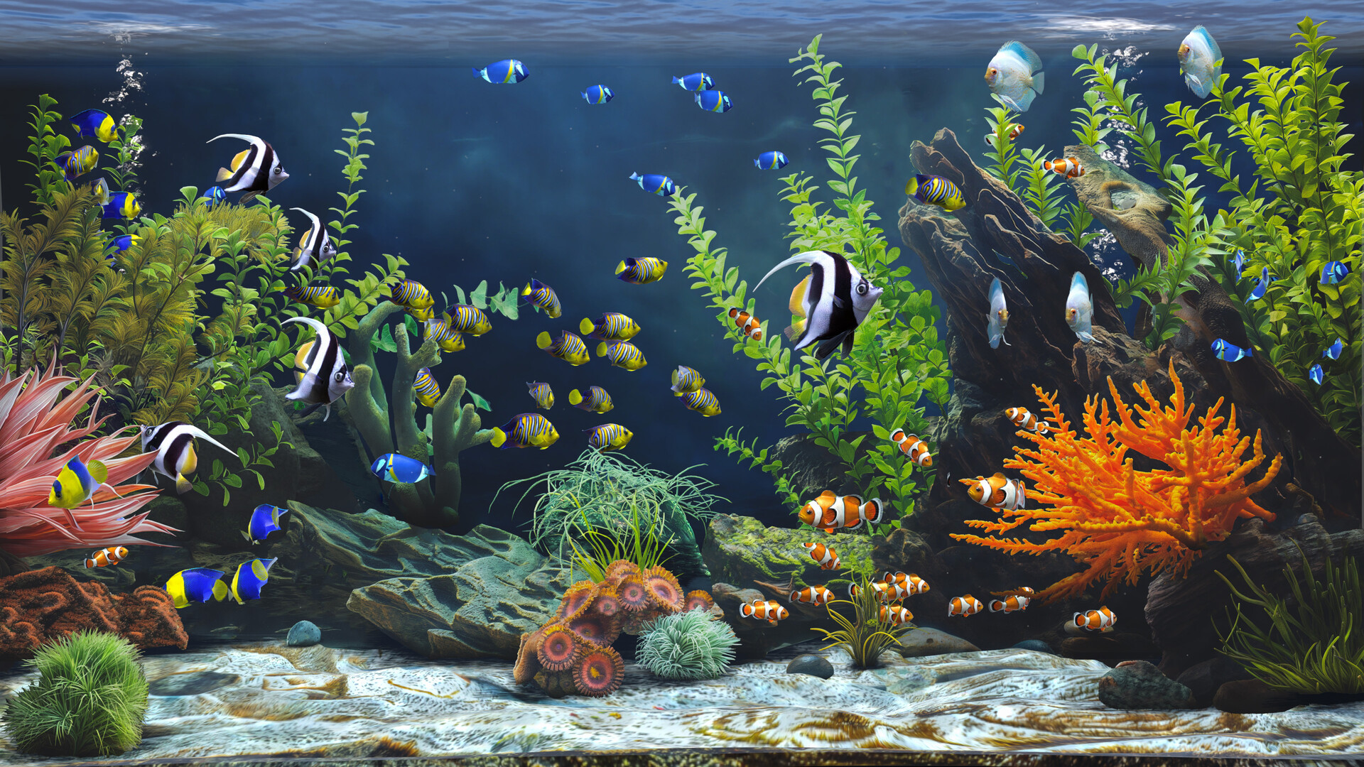 禅意水族馆|官方中文|Zen Aquarium插图4跳跳游戏网